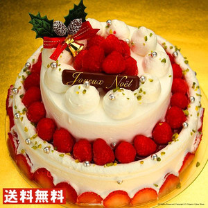 送料無料 お取り寄せクリスマスケーキパーティー用2段デコレーションチーズケーキ激安はココ お取り寄せスイーツ クリスマスケーキの激安はココ